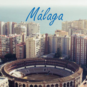 Viviendas en Málaga